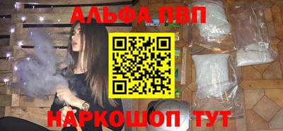 амф Кингисепп