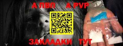 амф Кингисепп