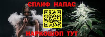 амф Кингисепп