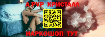 амф Кингисепп
