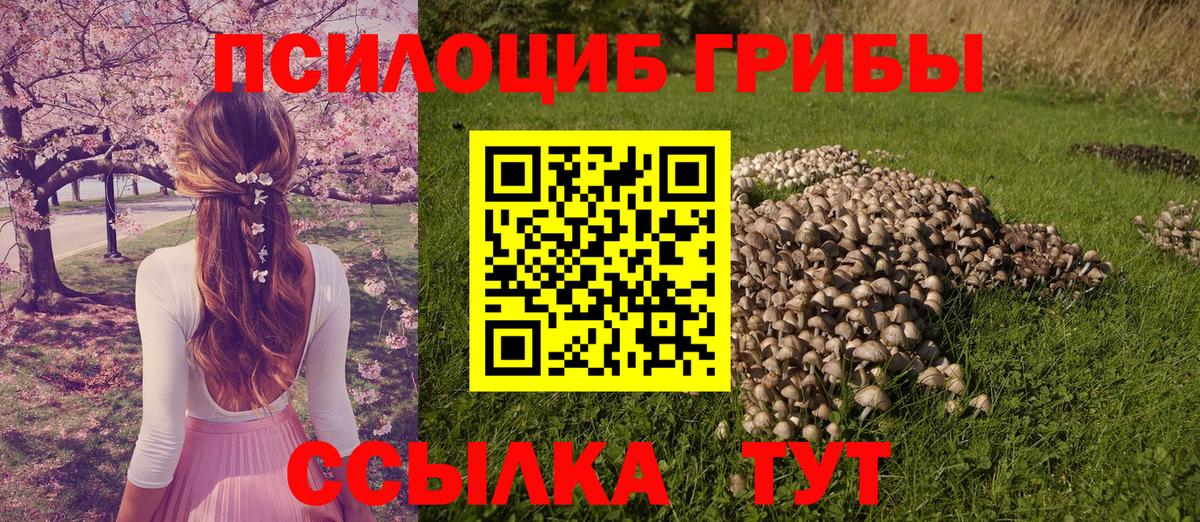 Псилоцибиновые грибы ЛСД Десногорск