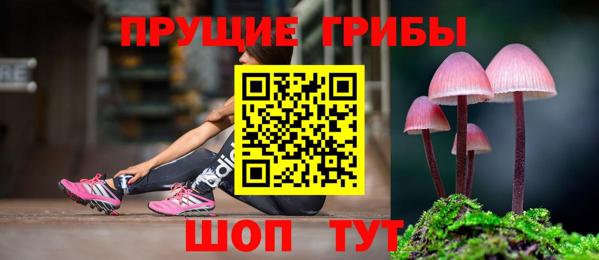 Десногорск  Псилоцибиновые грибы Psilocybine cubensis  Вход с VPN  Галлюциногенные грибы MAGIC MUSHROOMS 